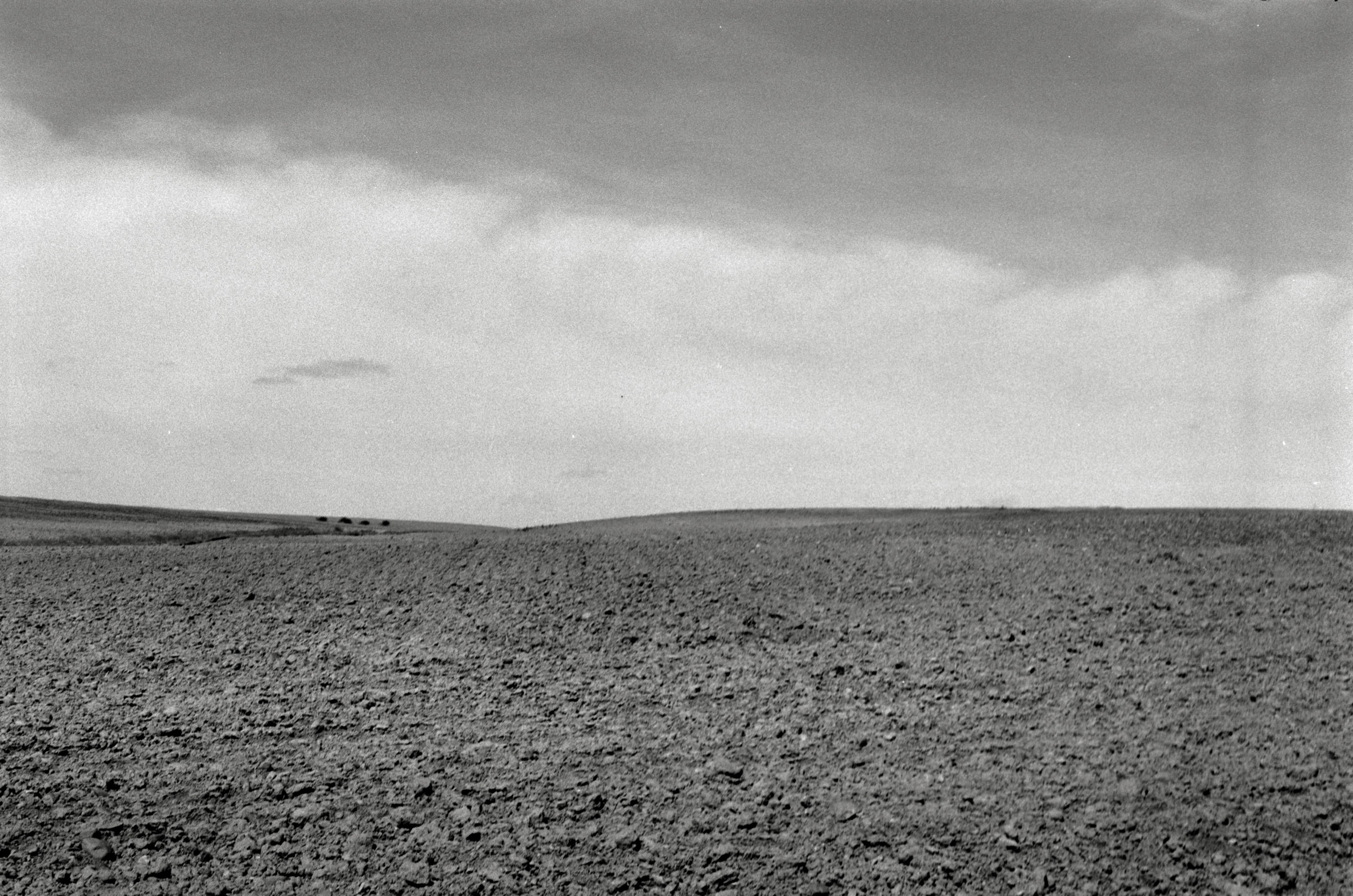 AHP F1995 05 009 sc240826 img14 NLP